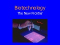brock biology of microorganisms 13th edition powerpoint animation